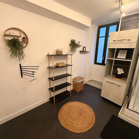 T2 Meuble De 55 M Plein Centre-ville Historique Appartement *