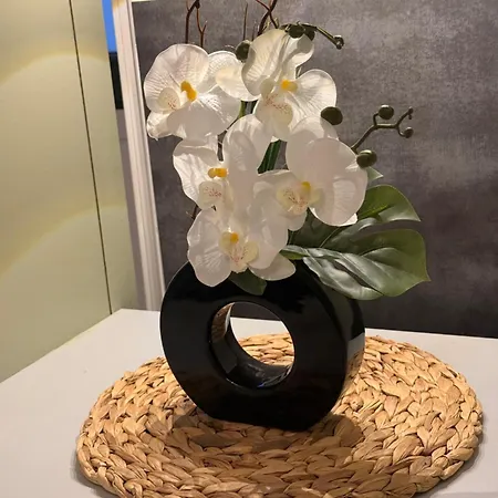 Appartement T2 Meuble De 55 M Plein Centre-ville Historique *